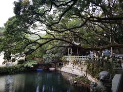 -枣子树·素食餐厅(普陀山店)
