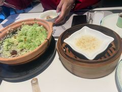-新兴·金羊座·粤菜点心(乐峰店)