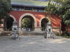 -灵谷景区