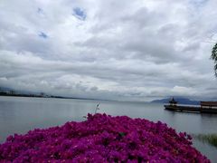 -大理洱海