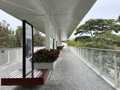 -燕晗山郊野公园