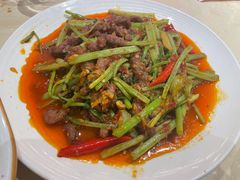 -杨氏青龙虾·羊蝎子(珠江路店)