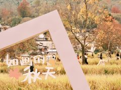-塔川景区