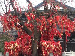 -西安华清御汤酒店