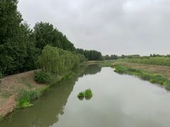 -东郊湿地公园