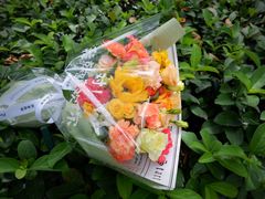 -F.Story 花和故事(新天地店)
