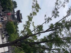 -山西王家大院