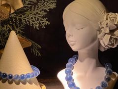 -雪灵魔法世界SHELLY’S TAROT(大良桂畔里店)