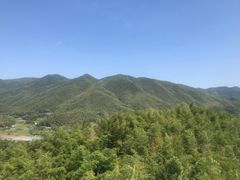 -宁波浙东大竹海景区