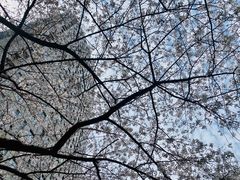 -中国银行(上海市新闸路支行)