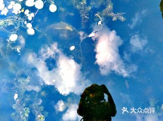 免费的大型公园一一桐泾公园