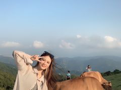 -大姆山草场