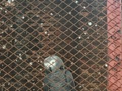 -元生咖啡(陶溪川店)