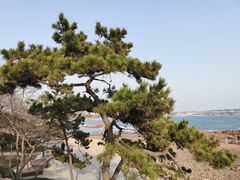 -青岛第二海水浴场