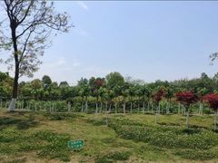 -白鹭湾湿地公园