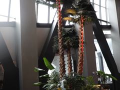 -中央广播电视总台(光华路办公区)