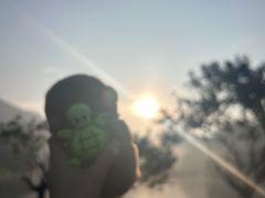 -南国桃园旅游度假区