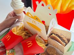 -麦当劳(新新大道岗丰店)