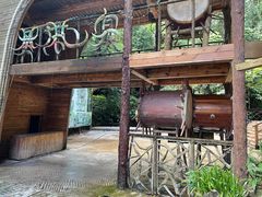 -西双版纳基诺山寨