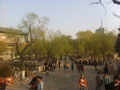 iphone_upload_pic-文瀛公园