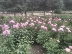 -长春公园(普阳街道)