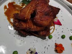 -蝶园·装修中(BFC外滩金融中心店)