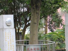 -广州神农草堂中医药博物馆