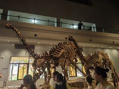 -自贡恐龙博物馆