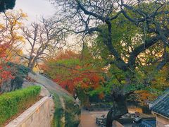 -青岛崂山太清宫