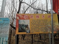 -第五季龙水凤港生态露营农场