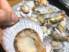 -77号渔船·蒸海鲜青岛菜(积米崖店)