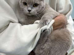 -宠福鑫康馨动物医院·骨科·眼科