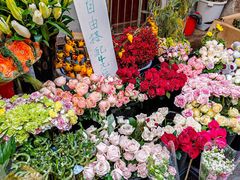 -循礼门鲜花花市(武汉循礼门店)