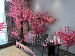 -美健盛世·美容SPA连锁