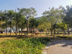 -火炉山森林公园