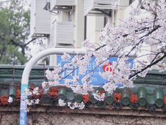 -鸡鸣寺