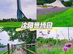 -沈阳植物园