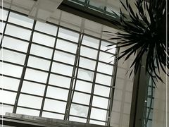 -上海交通大学医学院附属瑞金医院(总院)