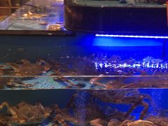 -阿伟海鲜楼·福建菜(延寿店)