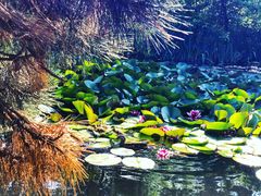 -北海道厅旧本厅舍(旧本庁舎)