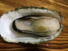 -大富蚝乌东哥饭店·石锅鱼杂·柠檬鸭(革新路店)