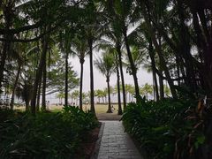 -深圳湾公园(南山区)