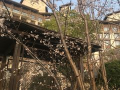 -合肥融创永乐半山酒店·永乐半山西餐厅