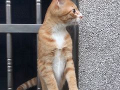 -宠颐生动物医院·小陆分院