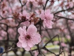 -白塘生态植物园