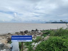 -钟叔烩鸡