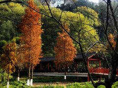 -重庆彩云湖湿地公园