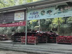 -大围山峡谷漂流