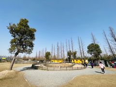 -前小桔亲子创意农场·草莓采摘·露营烧烤