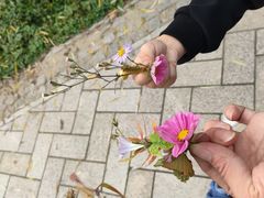 -萨莉亚意式餐厅(天河城购物中心店)